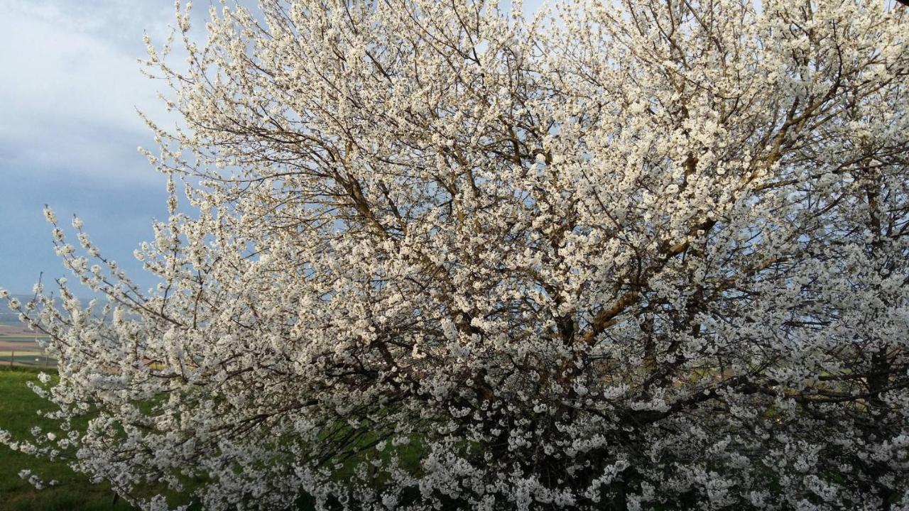 Au Dessus De Parady Gillonnay Dış mekan fotoğraf